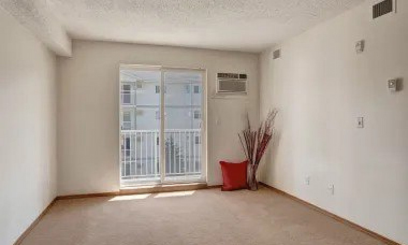 1 Bed X 1 Bath Apart...