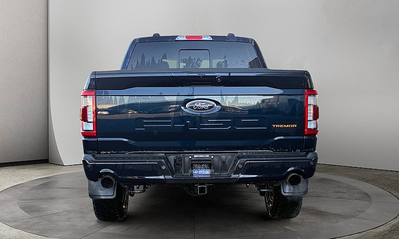 2023 Ford F-150 Trem...