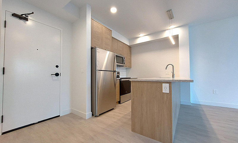 1 Bedroom Apartment ...