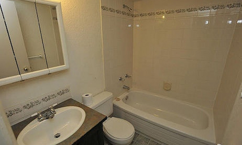 1 Bed 1 Bath Unit In...