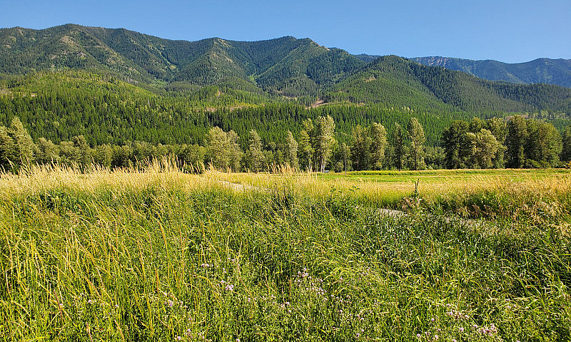 4.27 Acres Just Outs...