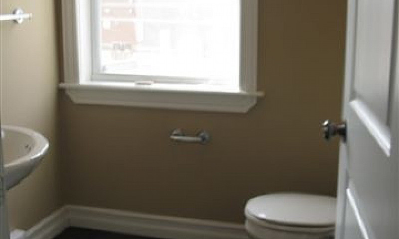 Pet Friendly Executi...
