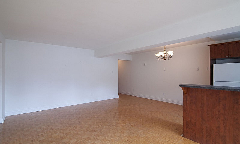 750Sqft One Bedroom ...