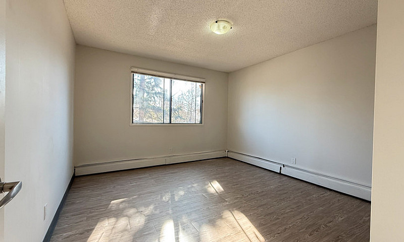 Classic 2 Bed 1 Bath...