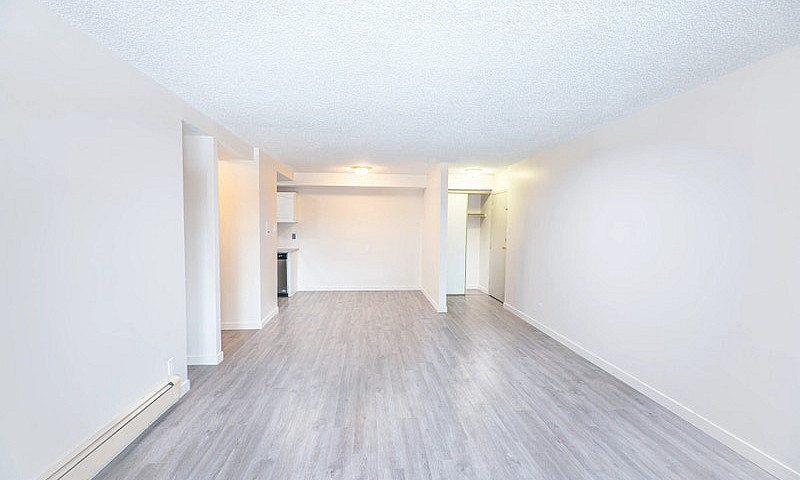 Bachelor, 1 Bedroom ...