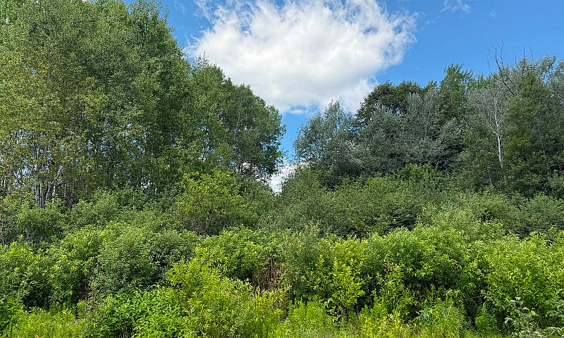 1-Acre Building Lot ...