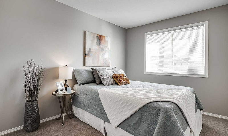 Pet-Friendly Three B...