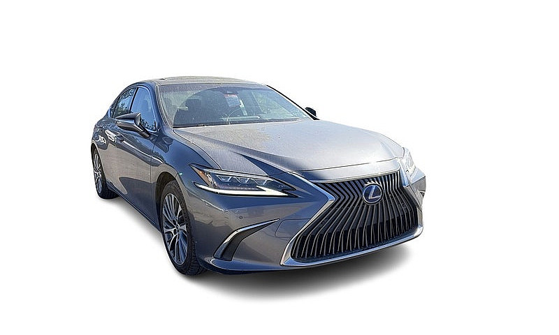 2019 Lexus Es 300H L...