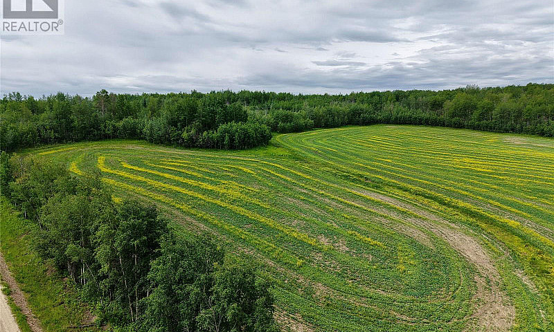 231 Road Dawson Cree...
