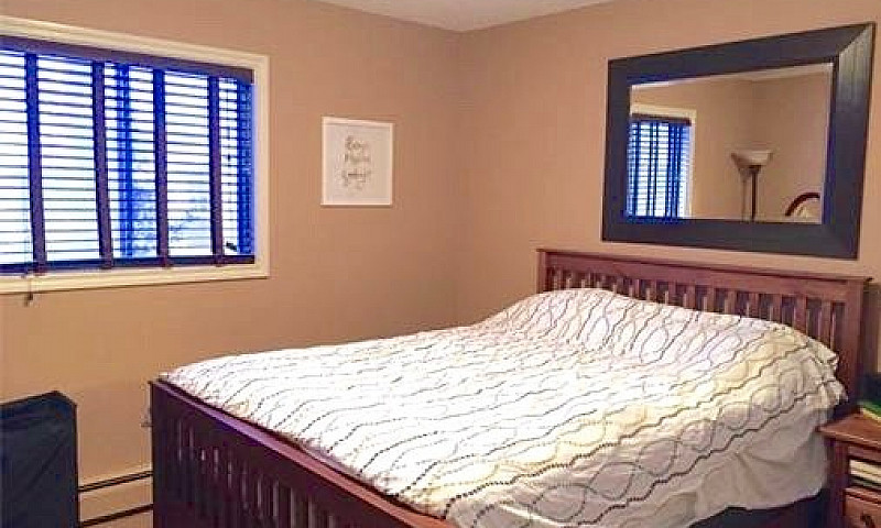 Top Floor - 3 Bedroo...