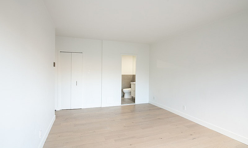 Fully Renovated 3-Be...