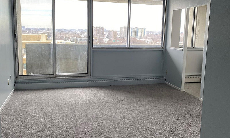 Downtown Bachelor - ...