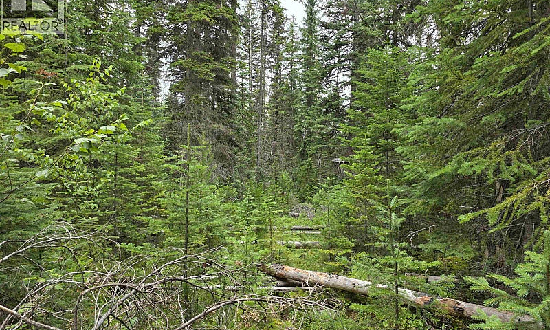 Lot 5 Bowron Lake Ro...