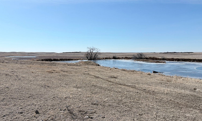 Farm Land For Sale W...