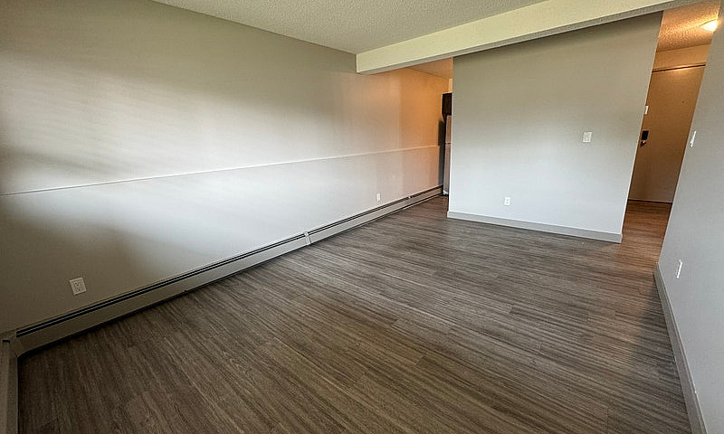 Cozy, Pet-Friendly G...