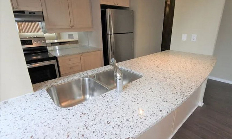 555 Yonge St - 703...