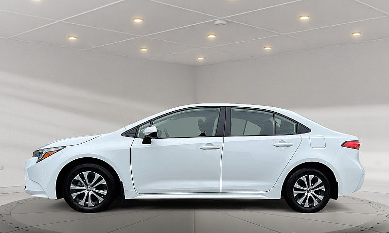 2025 Toyota Corolla ...