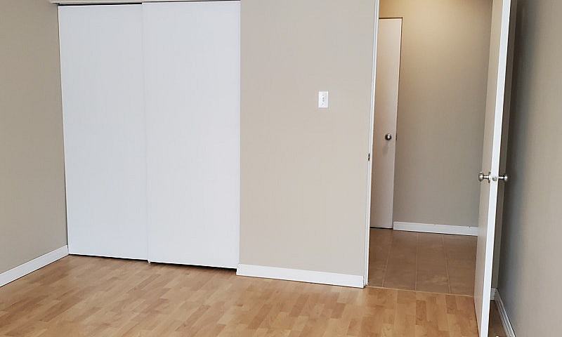 One Bedroom Apartmen...