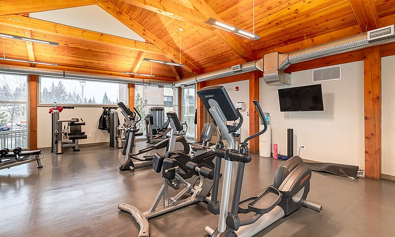 Townhomes For Rent N...
