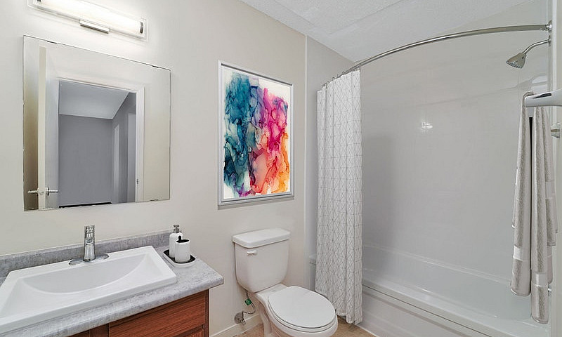 1 Bedroom - 6209 60 ...