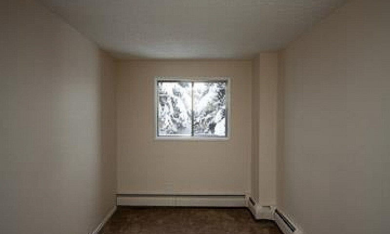 Bear Ridge Place - 1...