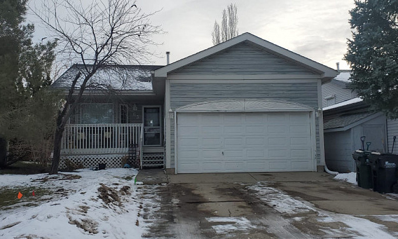What A Gem In Sherwo...