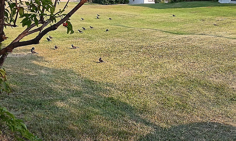 Lot For Sale...