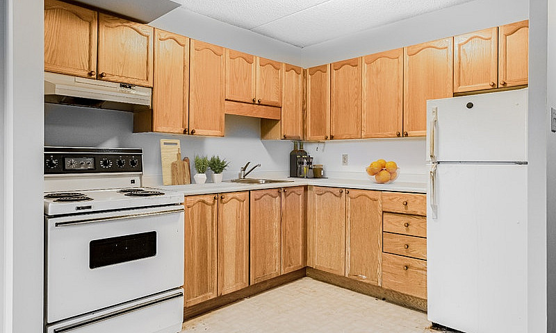 1 Bedroom Apartment ...