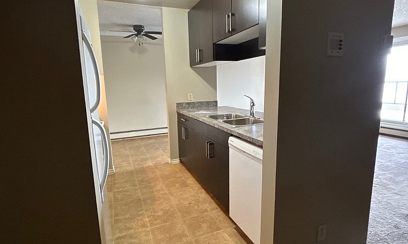 1 Bedroom Apartment ...
