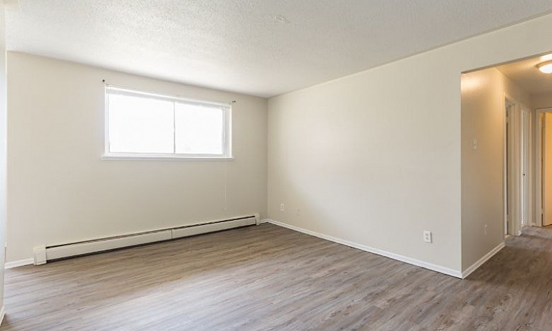 2 Bedroom Apartment ...