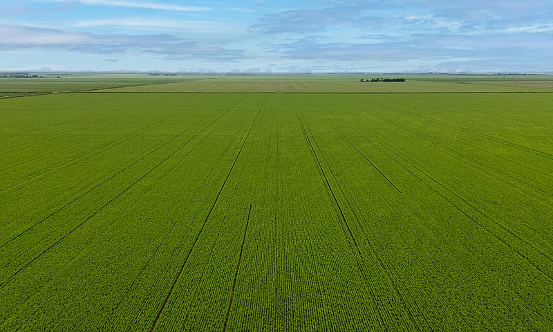Premier Farmland Off...