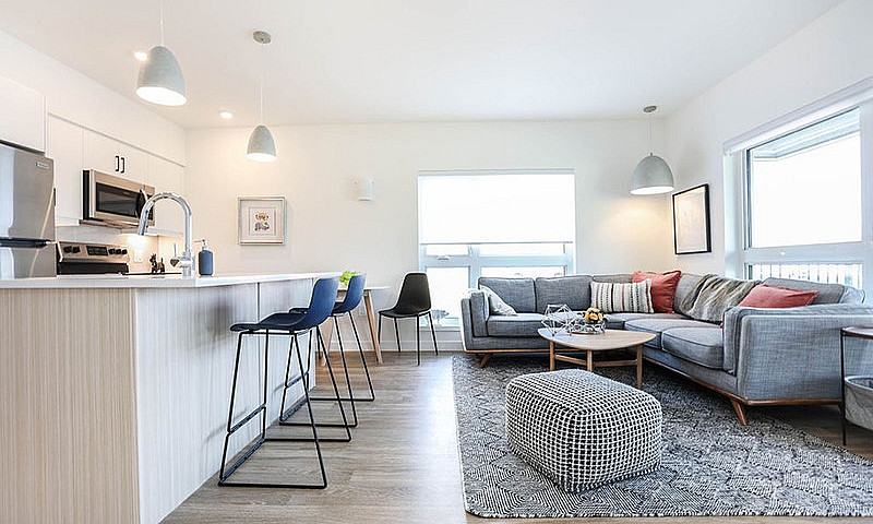 Modern 1 Br Suite In...