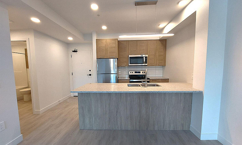 1 Bedroom Apartment ...