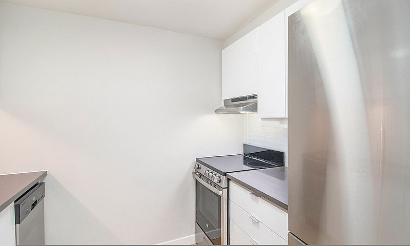 Renovated One Bedroo...