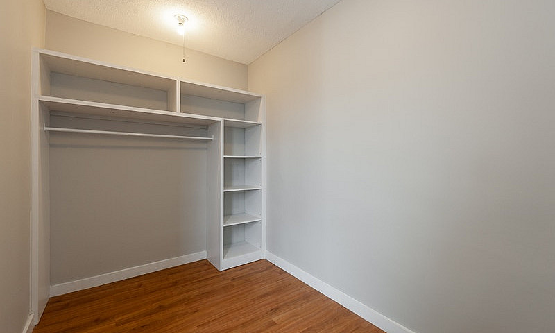 Renovated One Bedroo...