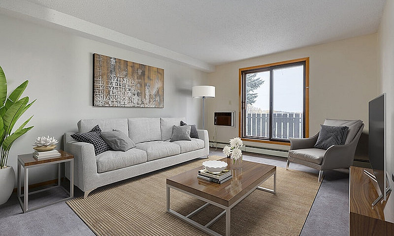 Modern Apartments Wi...
