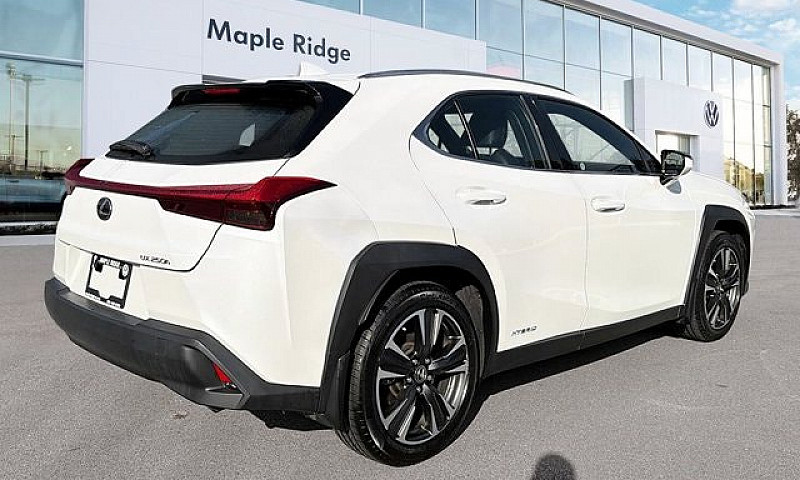 2020 Lexus Ux Ux 250...
