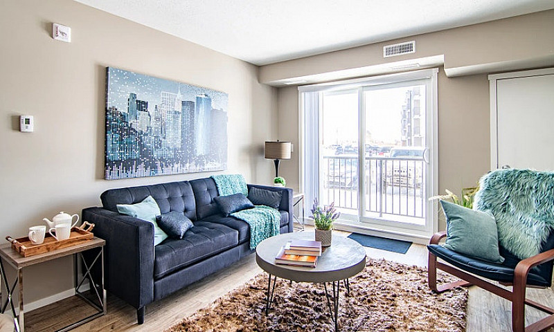 Pet-Friendly Three B...