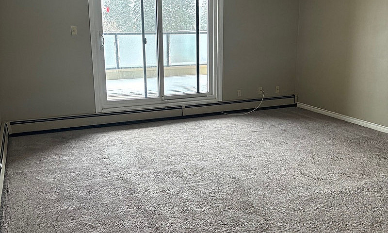 1 Bedroom Apartment ...
