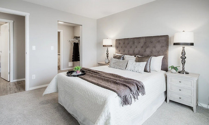 Pet-Friendly One Bed...