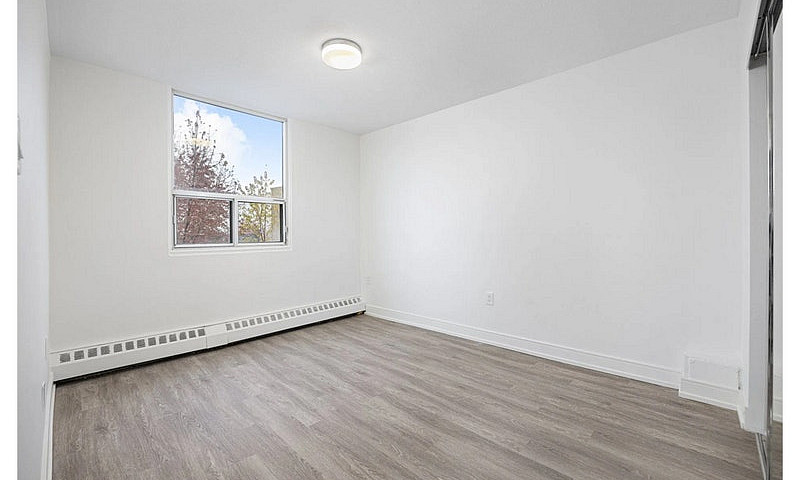 160 Market St. - 1Bd...