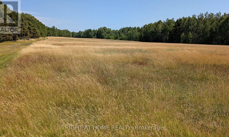 191 Ashburton Road W...