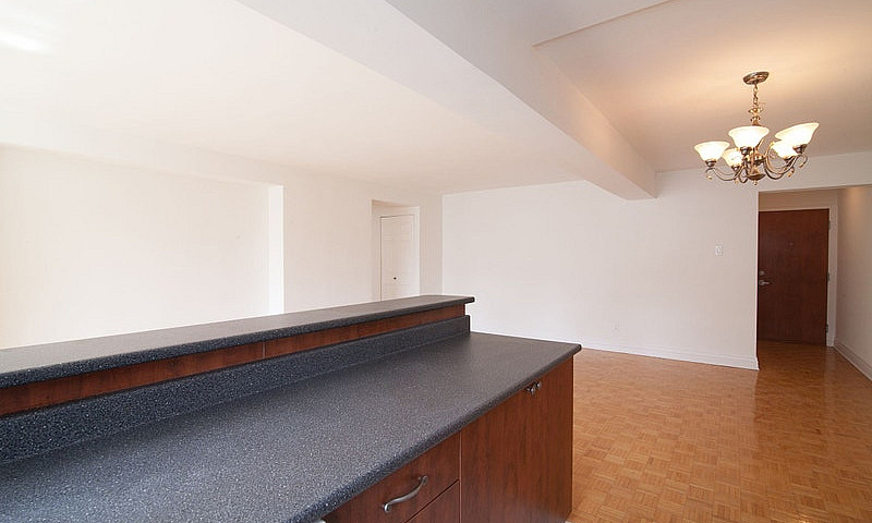 750Sqft One Bedroom ...