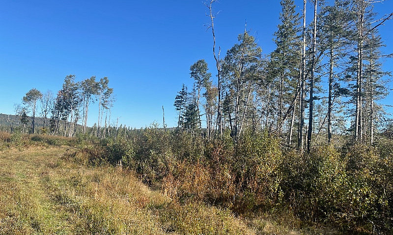 Mclure Rd. (Lot 3), ...