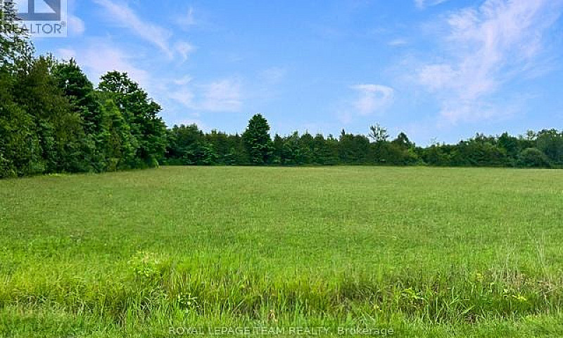 7191 Malakoff Road O...