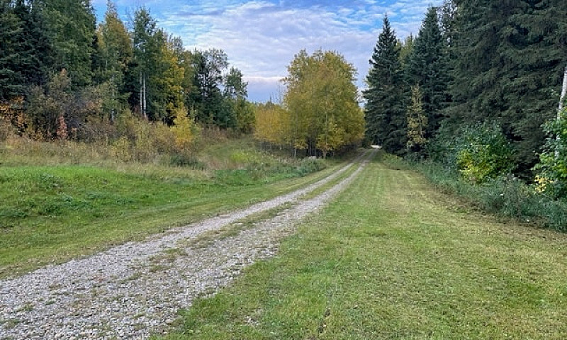 Beautiful Acreage Fo...