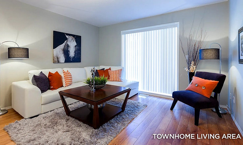 Pet-Friendly Two Bed...
