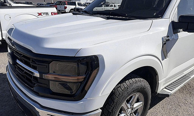 2024 Ford F-150 Xlt ...