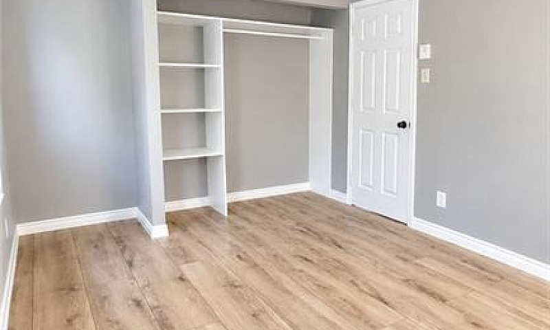 55 Marcus Drive King...