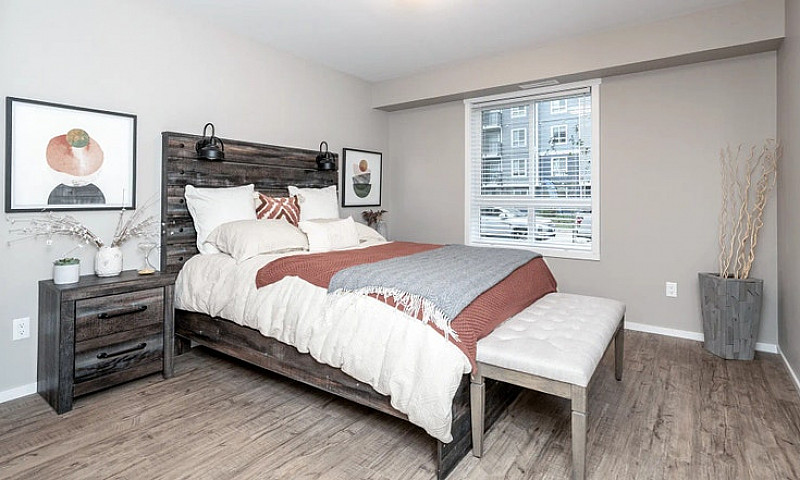 Pet-Friendly One Bed...